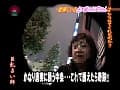 Sample 21