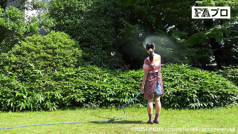 Sample 2