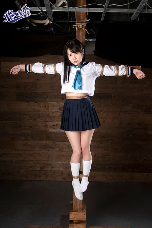 Sample 3