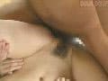 Sample 40