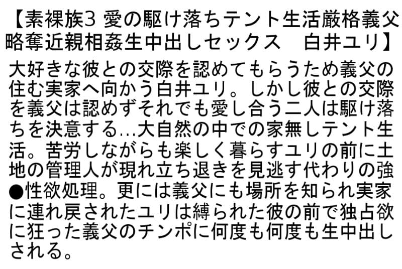 Sample 4
