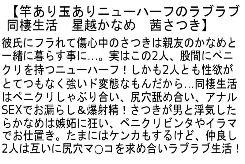 Sample 4