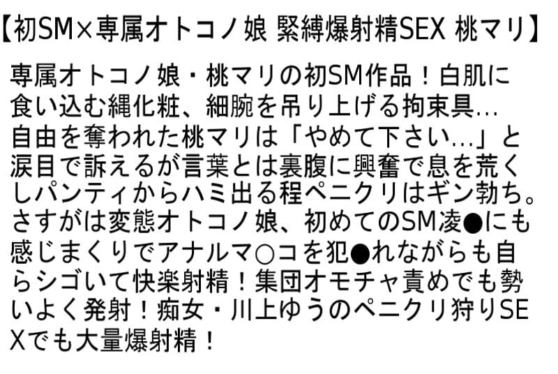 Sample 2