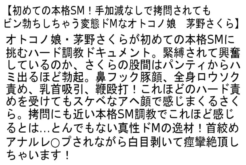 Sample 2