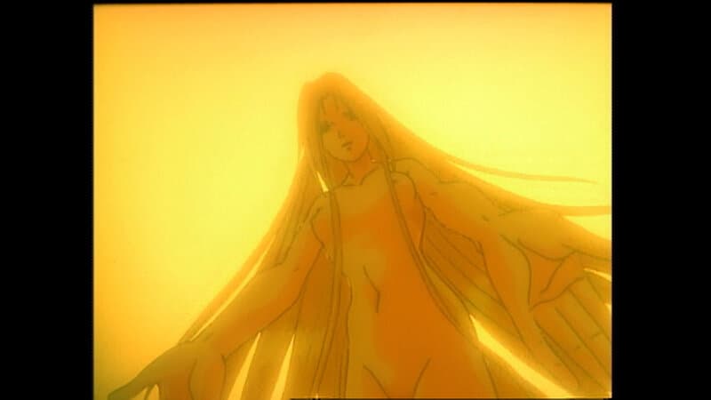 Sample 7