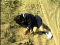 Sample 24