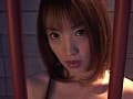 Sample 21
